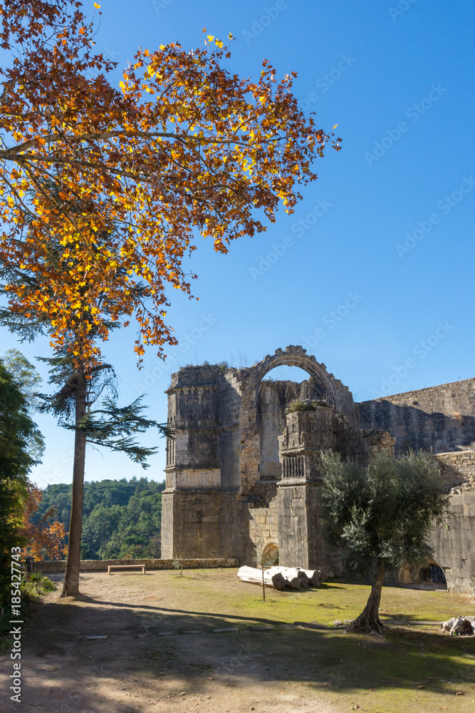 Obraz premium Castelo de Tomar e Convento de Cristo, na cidade de Tomar, Portugal.