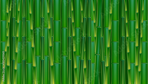 Green bamboo background.