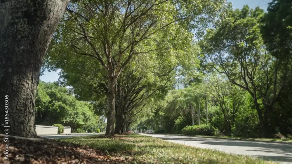 Timelapse of a suburban boulevard with ample trees and foliage. Camera dolly foward while ghost cars pass by Timelapse of a suburban boulevard with ample trees and foliage. Camera dolly foward while ghost cars pass by