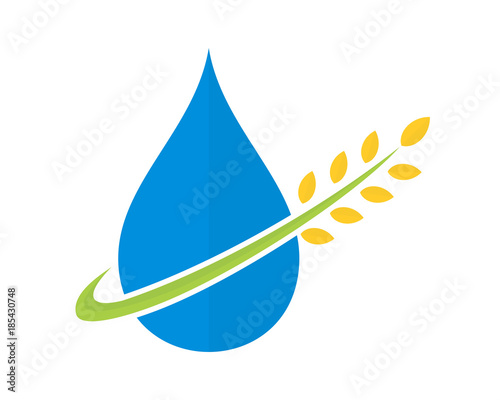 water wheat