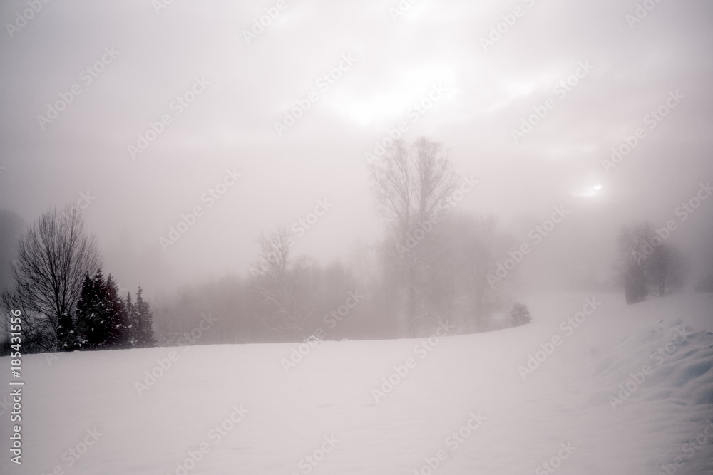 Winter mist Winter mist