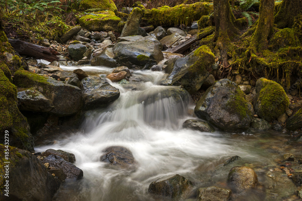 Smooth Water Flowing Through a Rainforest Environment. Wells Creek, in the Mt. Baker National Forest, flows down to meet the Nooksack River through a mossy green forest in Washington state. Smooth Water Flowing Through a Rainforest Environment. Wells Creek, in the Mt. Baker National Forest, flows down to meet the Nooksack River through a mossy green forest in Washington state.