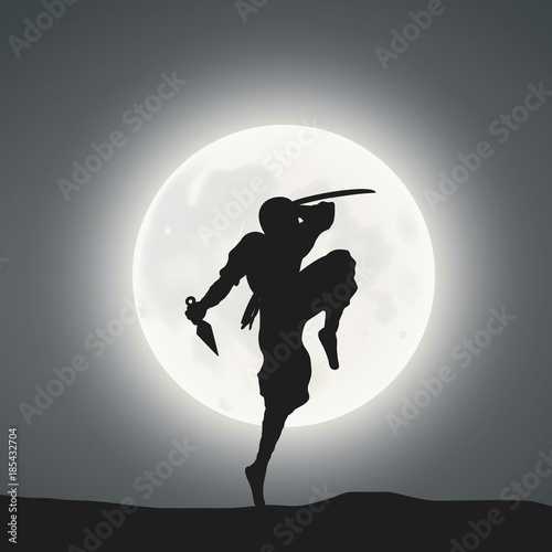 A Japanese Ninja Under The Moonlight