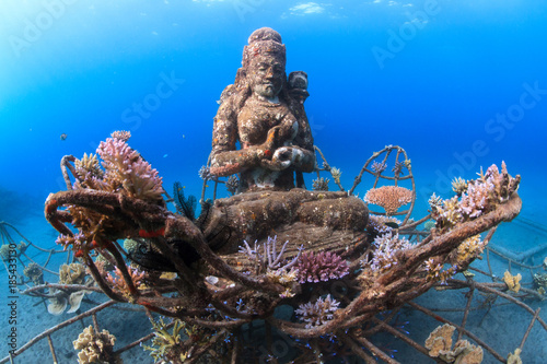 Artificial reef Coral Goddess in Pemuteran, Bali, Indonesia photo