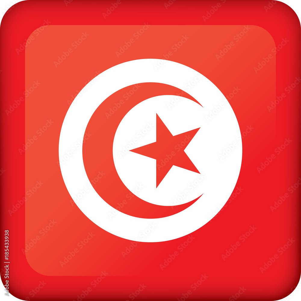 Icon representing square button flag of Tunisia. Ideal for catalogs of institutional materials and geography Icon representing square button flag of Tunisia. Ideal for catalogs of institutional materials and geography
