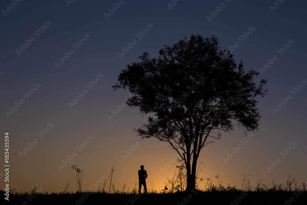 silhouette man standing under the tree in sunset time