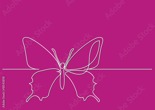 continuous line drawing of isolated vector object - butterfly © OneLineStock