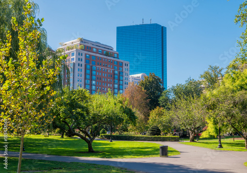 Boston USA Public Garden, Common Frog Pond and city skyline. © Liran
