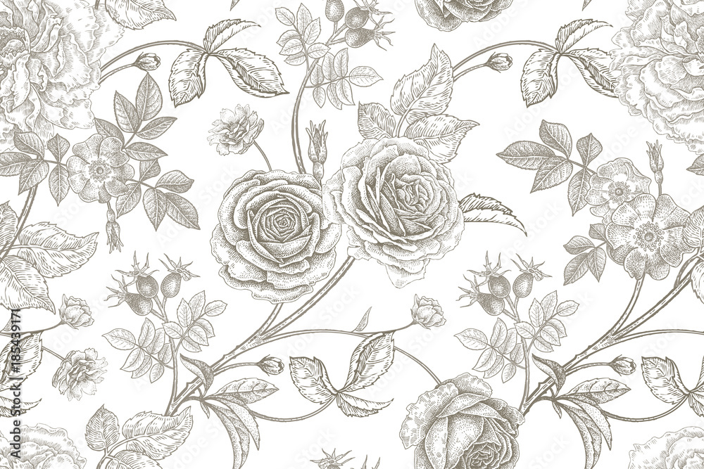 Fototapeta Seamless pattern with rose flowers.