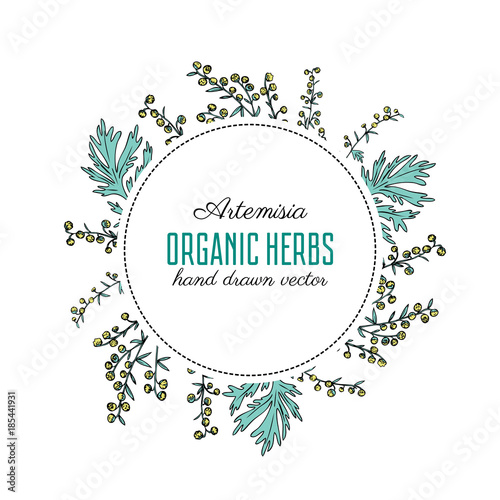 Round frame with Artemisia vulgaris, wreath common wormwood hand drawn vector illustration isolated on white, Also called absinthium, absinthe wormwood, sagebrush herb, mugwort plants for design cover