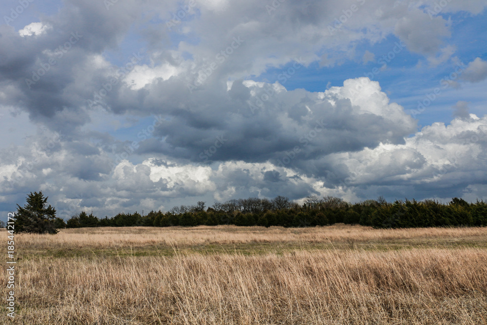 Kansas Golden Field Large Clouds Blue Sky, room for copy