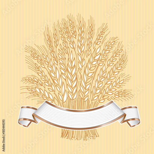 Hand drawn wheat sheaf on beige background with white elegant banner