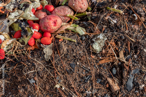 фотографія A variety of decomposing organic matter, food scraps mixed with dirt leaves and