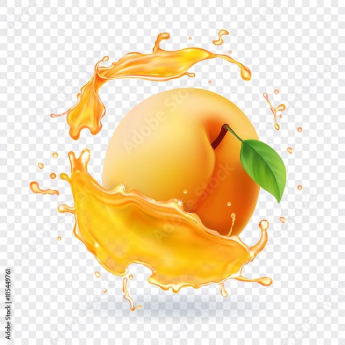 Apricot in juice splash. Realistic fruit illustration
