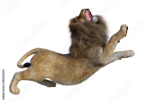 Fototapeta Naklejka Na Ścianę i Meble -  3D Rendering Male Lion on White
