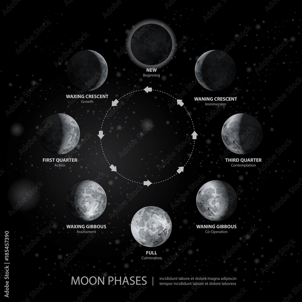 Fototapeta premium Ruchy faz księżyca realistyczne ilustracji wektorowych