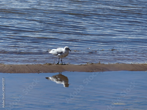 Lac Titicaca au Pérou Ile Amantani