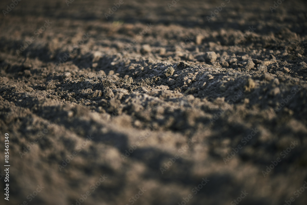 Red tractor with sowing machine on a ploughed field Red tractor with sowing machine on a ploughed field