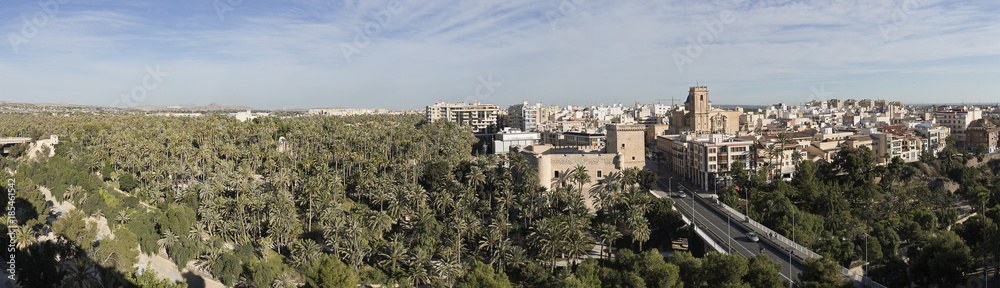 Panorama of the city of Elche in the province of Alicante, Spain.