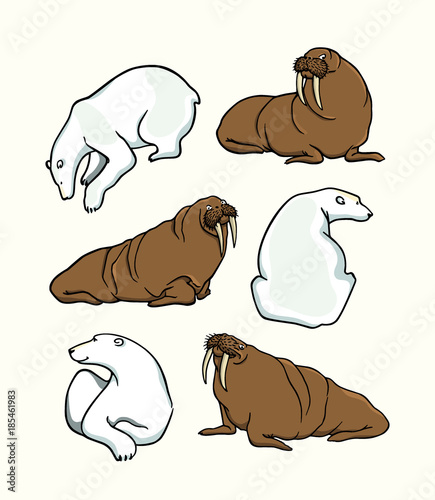 Vector card with hand drawn polar animals