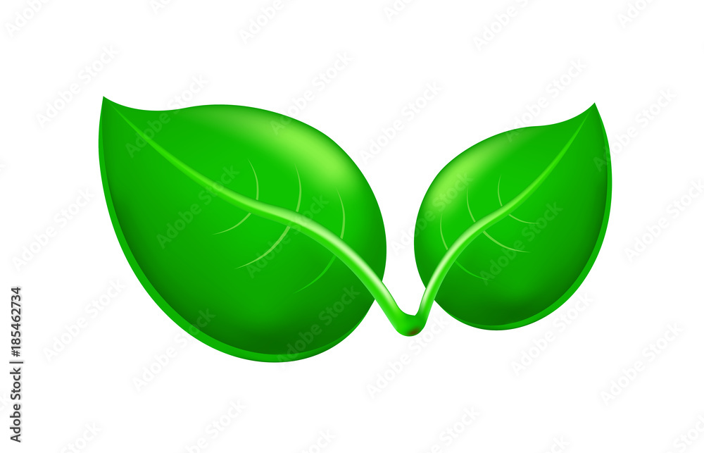 Cute Leaf Icon on White Background . Isolated Vector Illustration Cute Leaf Icon on White Background . Isolated Vector Illustration