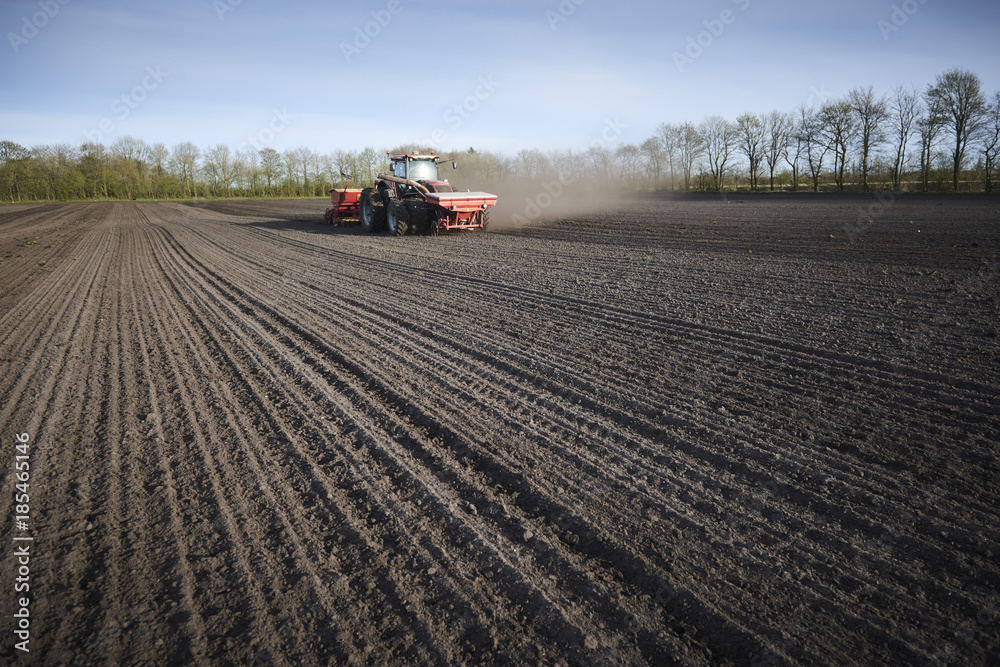 Obraz premium Red tractor plow field