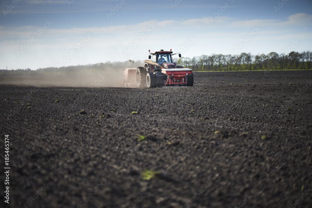 Obraz premium Red tractor plow field