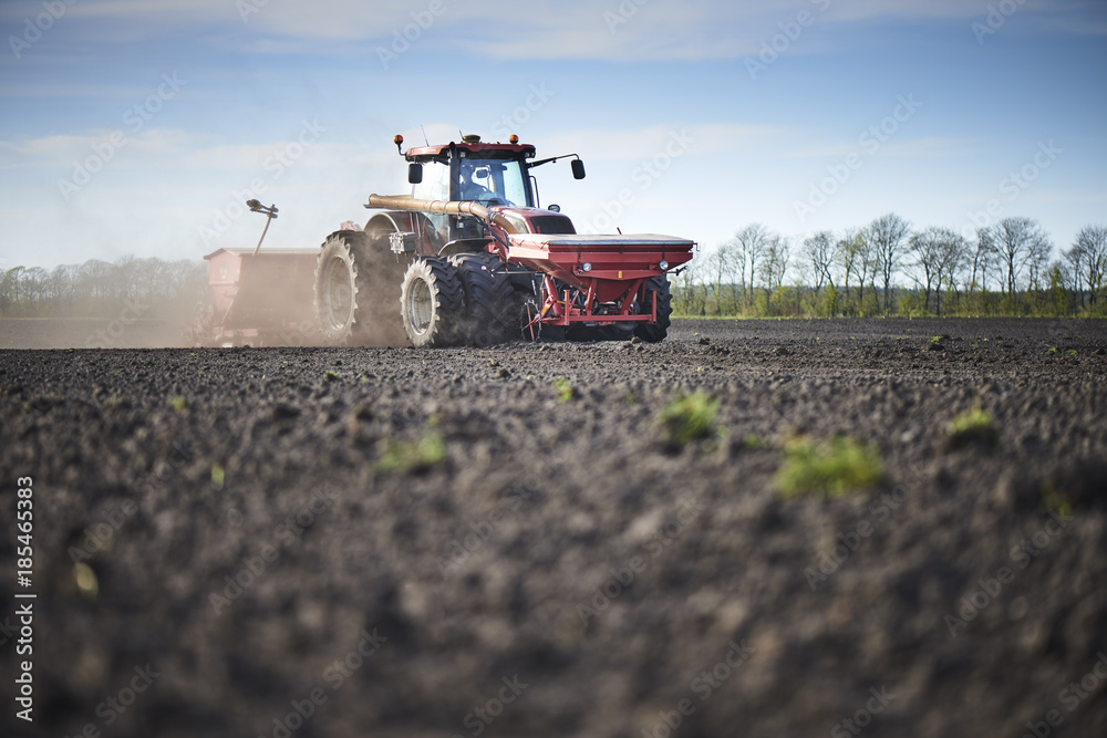 Fototapeta premium Red tractor plow field