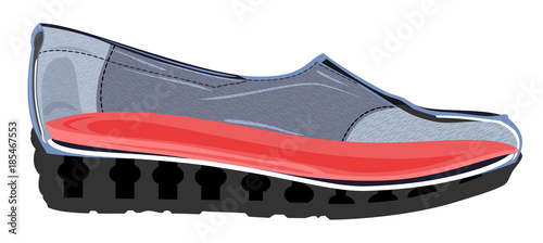 Shoe in section