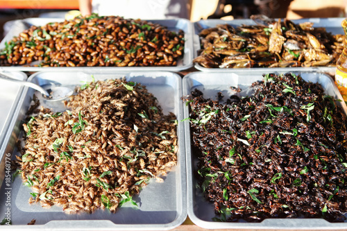 Thai Fried Insect at street food © photoaliona
