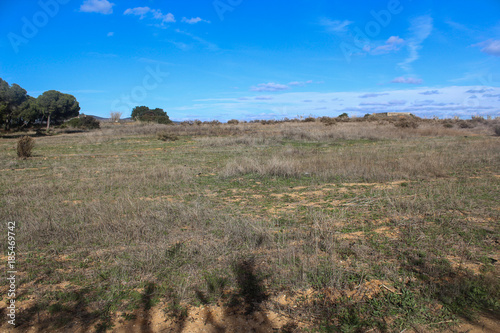 national park Ria Formosa, Algarve, Portugal