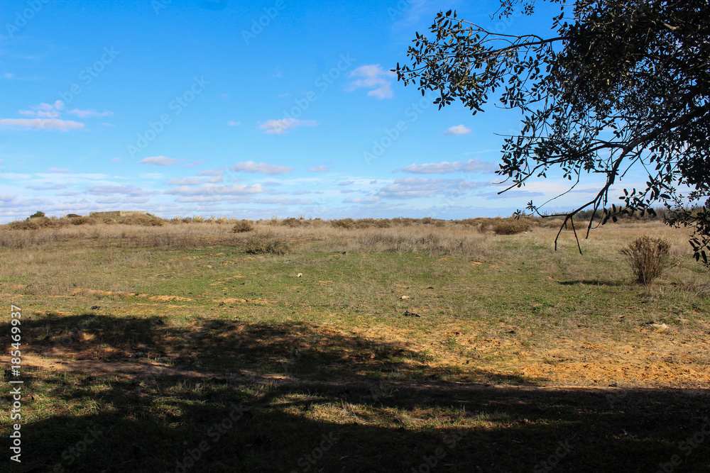 national park Ria Formosa, Algarve, Portugal national park Ria Formosa, Algarve, Portugal