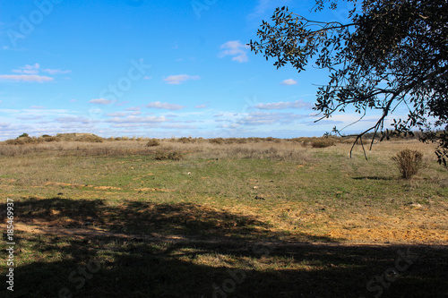 national park Ria Formosa, Algarve, Portugal