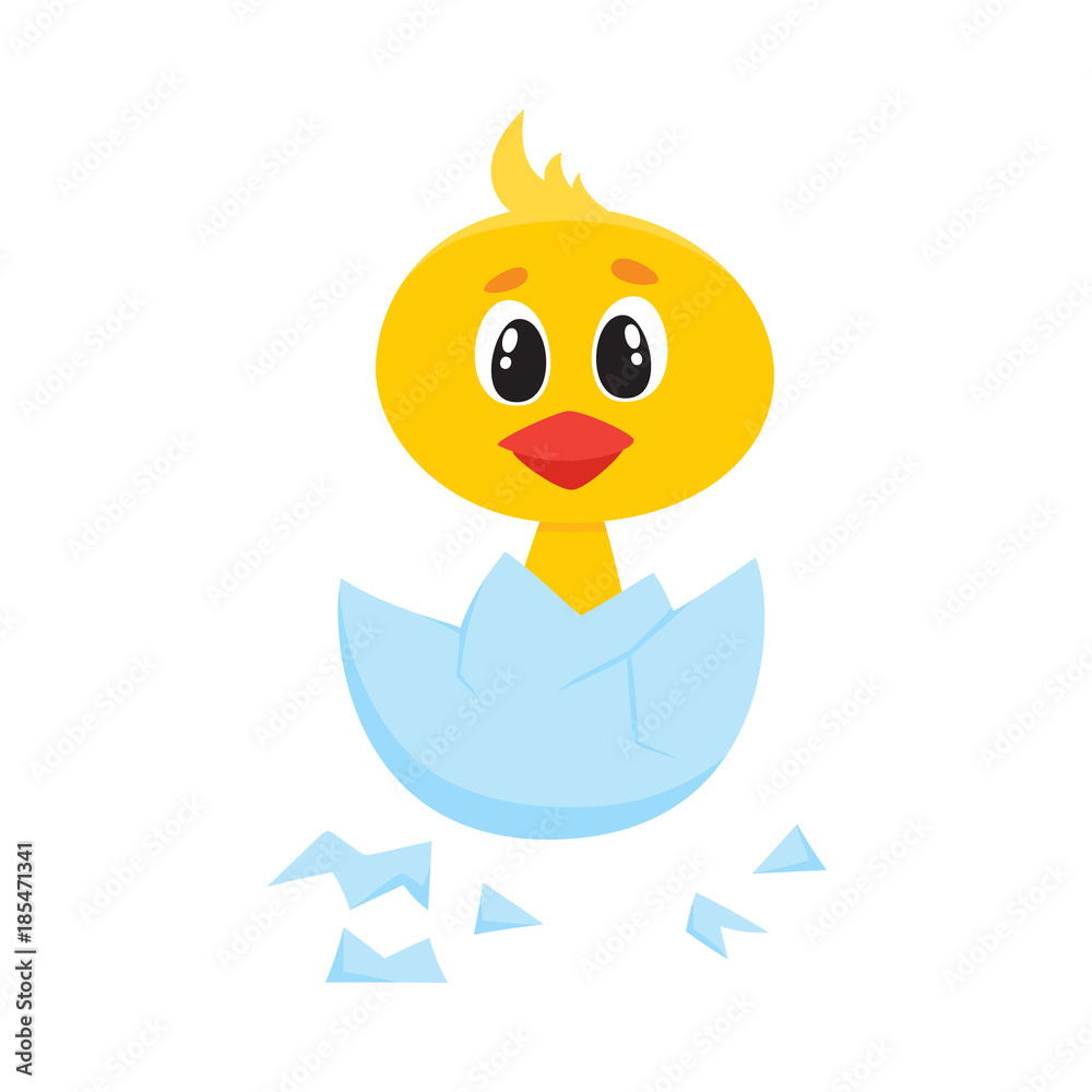 vector cartoon cute baby chicken character. Yellow small funny chick hatching from egg. Flat bird animal, isolated illustration on a white background. vector cartoon cute baby chicken character. Yellow small funny chick hatching from egg. Flat bird animal, isolated illustration on a white background.