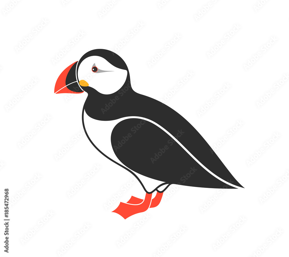Naklejka premium Atlantic puffin