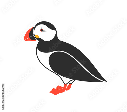 Atlantic puffin