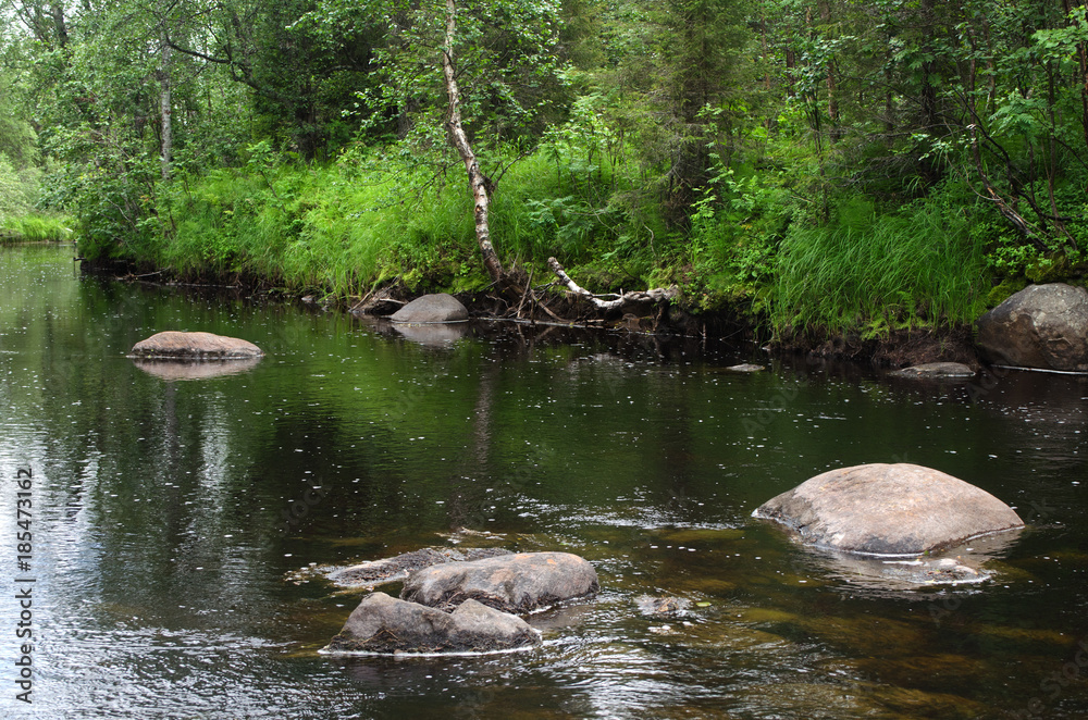 Fototapeta premium Vegetation and stones on the bank of the Unduxa river