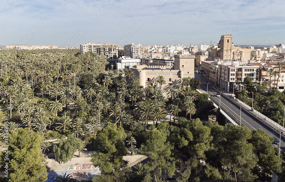 Views of the city of Elche in the province of Alicante