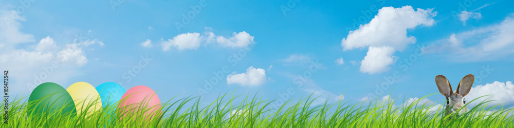 Fototapeta premium Osterhase Ostereier versteckt in Wiese Gras Banner