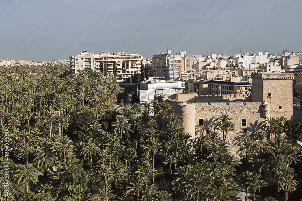 Obraz premium Views of the city of Elche in the province of Alicante