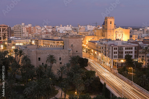 Views of Elche city at sunset in front of the palm grove.