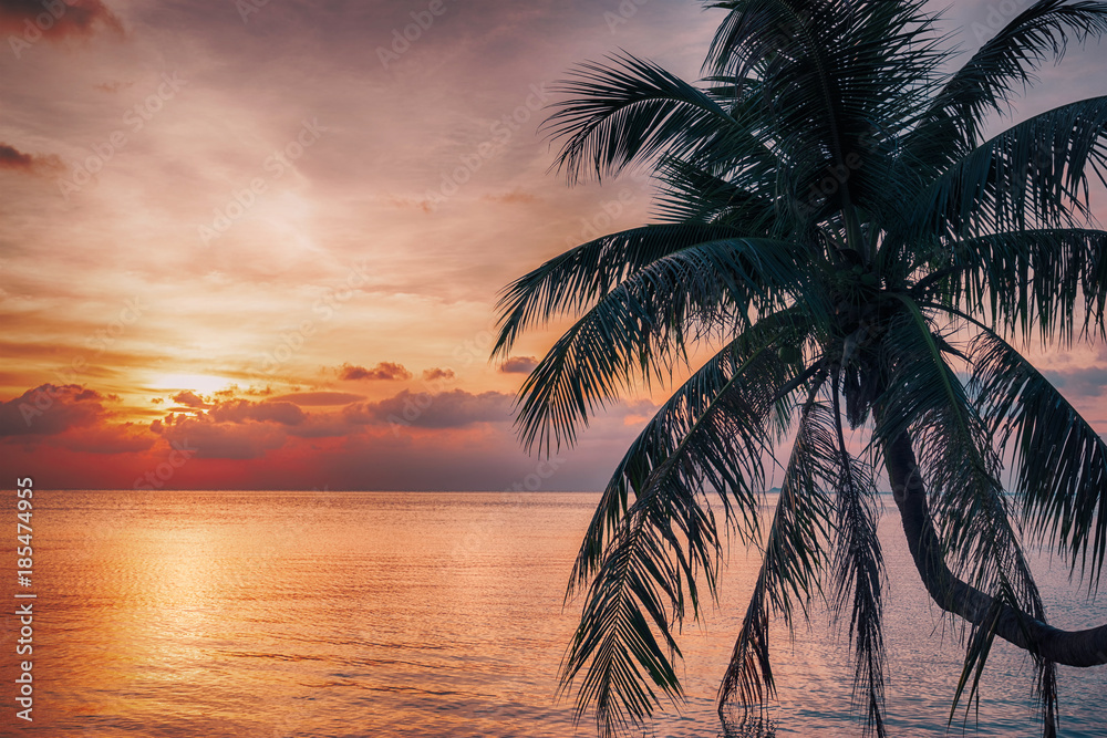 Beautiful sunset over the sea with coconut palm above sea.