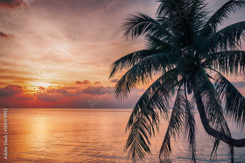 Beautiful sunset over the sea with coconut palm above sea.