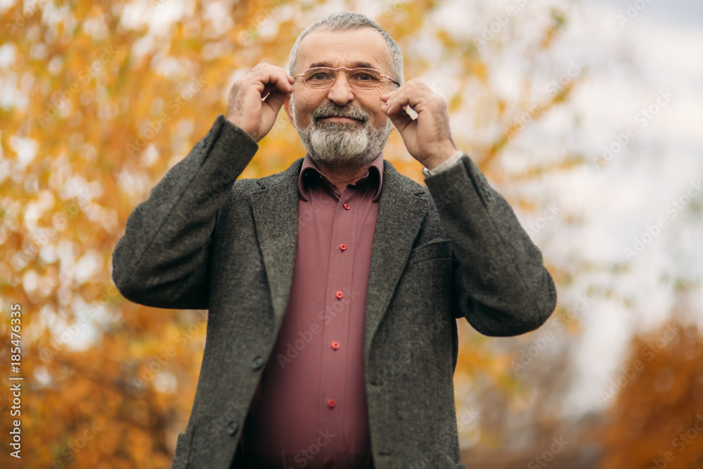 A handsome elderly man wearing glasses is using a phone. Walk in the park in autumn A handsome elderly man wearing glasses is using a phone. Walk in the park in autumn
