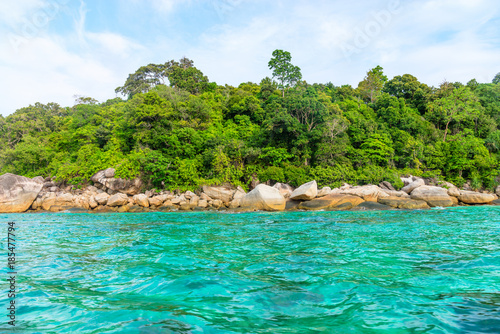 Wild green tropical sea stone coast