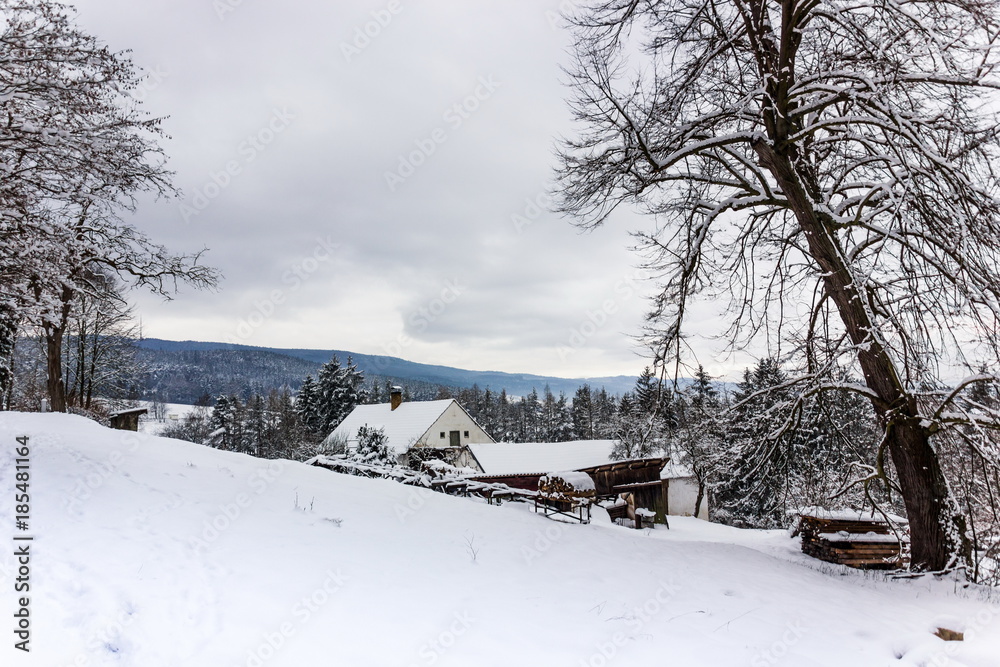 Fototapeta premium Winter day in South Czechia