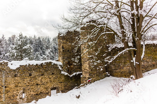 Winter day in ruins Divci Kamen, Czech Republic. photo