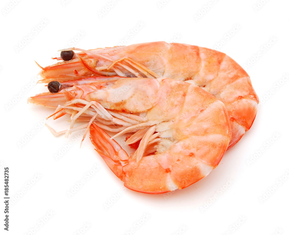 fresh shrimp are isolated on a white background fresh shrimp are isolated on a white background