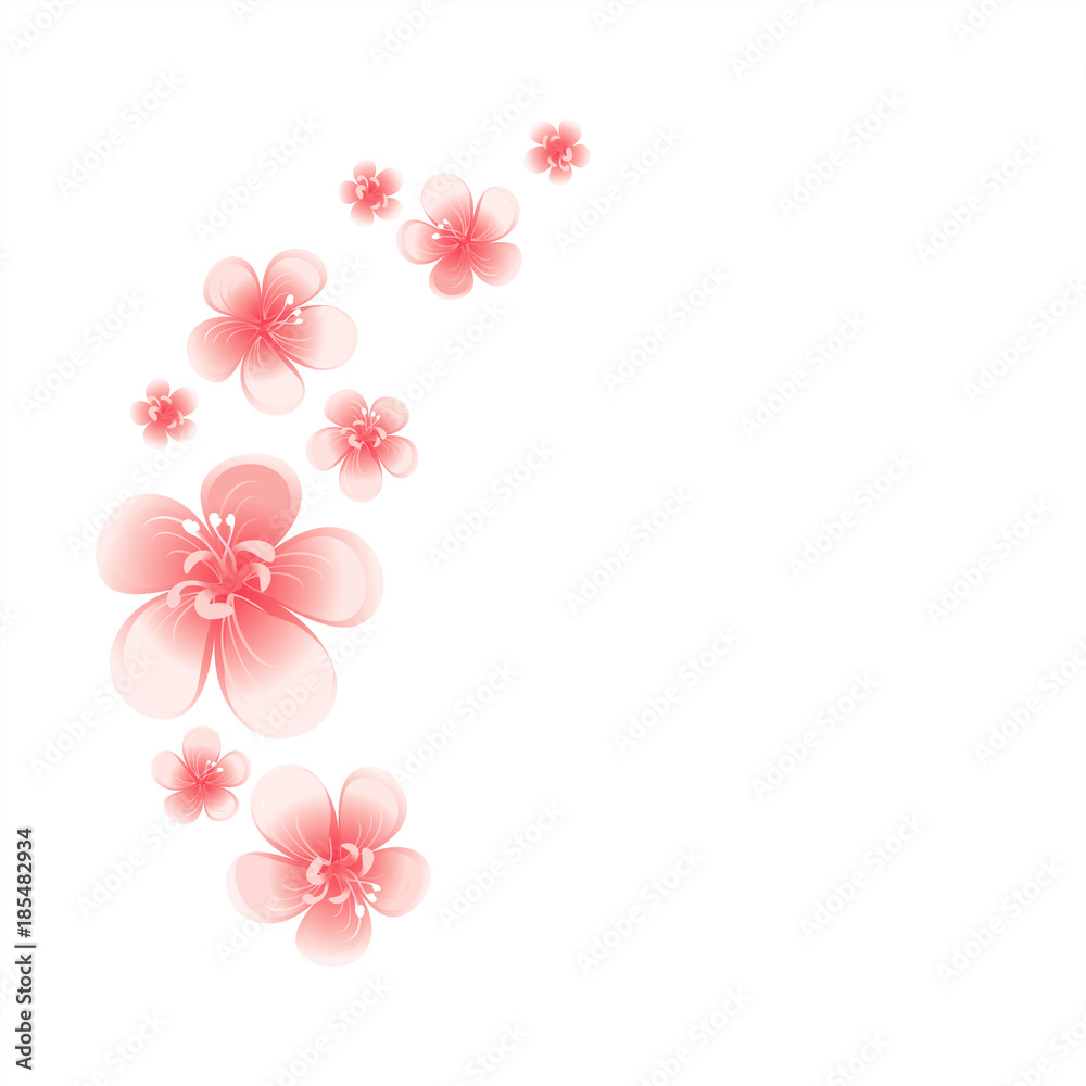 Pink flowers isolated on White background. Apple-tree flowers. Cherry blossom. Vector