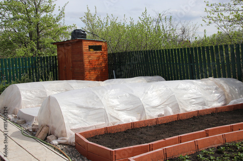 Fotografie Vegetable patches with seedlings covered with spunbond and polyethylene film to